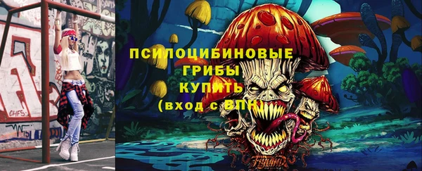 a pvp Коряжма