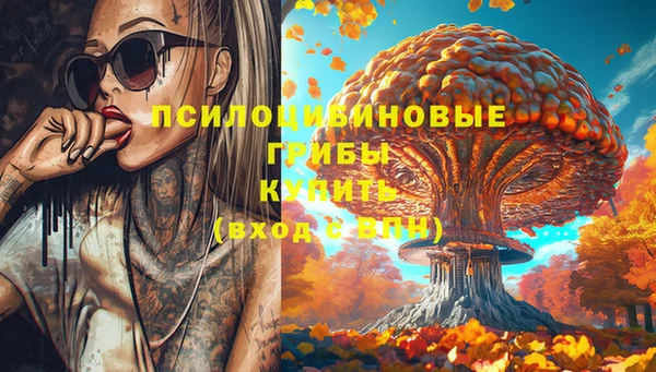 гашик Козловка