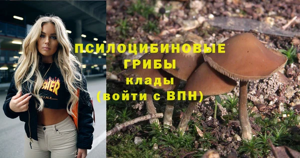 spice Козельск