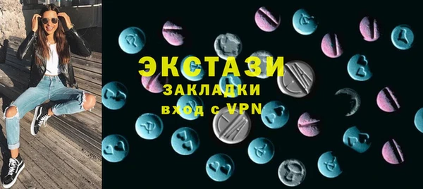 гашик Козловка